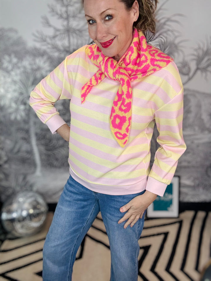 Leonie Knitted Neck Triangle Leopard Scarf Star Print
